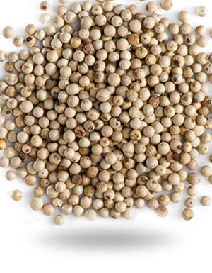 White Pepper Corn
