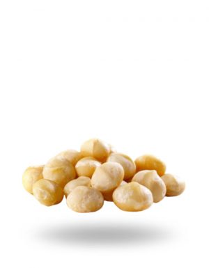 Macadamia Nuts