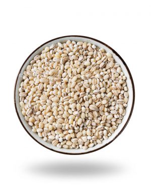 Barley 100g