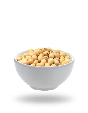 Soya Beans