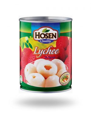 HOSEN Lychee In Syrup 565g
